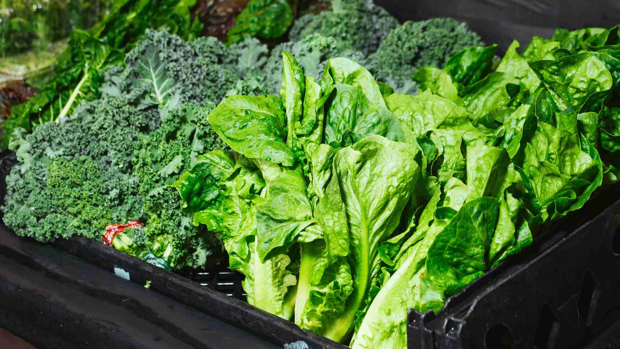 tervislikud rohelised salatid ja lehtköögiviljad