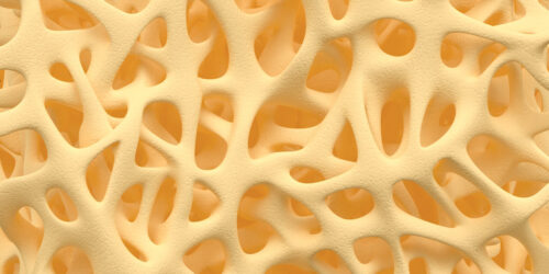 Vitamin K Consumption Helps Reduce Bone Loss.